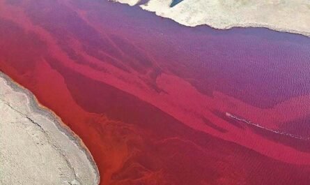 Экологическая катастрофа: в Норильске произошел разлив более 20 000 тонн нефтепродуктов